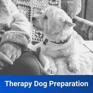 therapy dog preparation training class