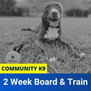 community k9 board and train