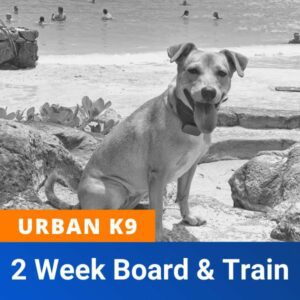 urban board and train