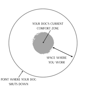 Question Of The Day: How Do I Know If I'M Pushing My Fearful Dog Too Hard In Training? 2 Pushing A Fearful Dog In Training
