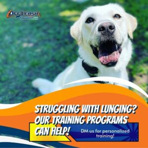 Train Your Dog To Stop Lunging At Other Dogs 2 Stop Lunging At Other Dogs