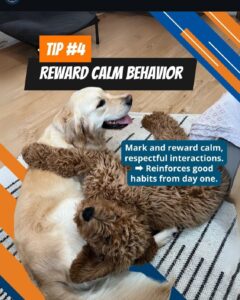 5 Tips To Stop Sibling Rivalry Before It Starts 5 491449144 18503551228013675 4989548688274543133 N 5 Tips To Stop Sibling Rivalry Before It Starts