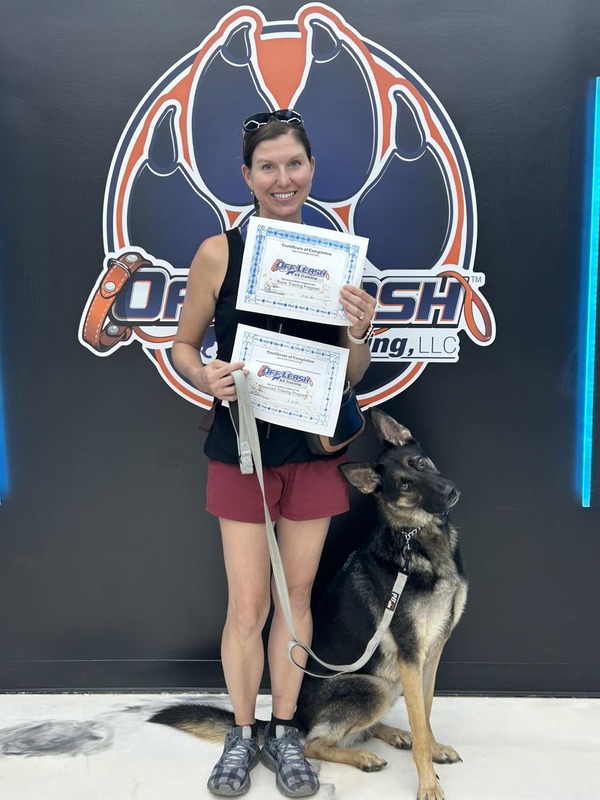 Lp Therapy Dog Training 9 Certificates 3 2 Lp Therapy Dog Training