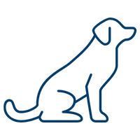 Lp Therapy Dog Training 2 Basic Obedience 200X200 1 2 2 Lp Therapy Dog Training